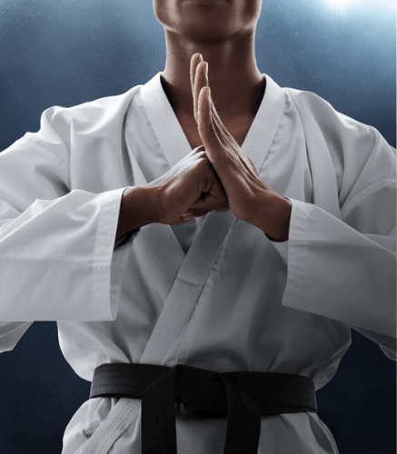 Traditional Martial Arts